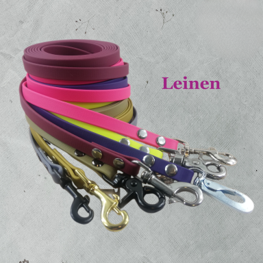 Hundeleine in verschieden Ausführungen in bunten Farben.